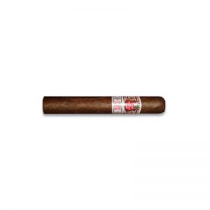 Hoyo de Monterrey Epicure Especial (10) - Cigar Shop World