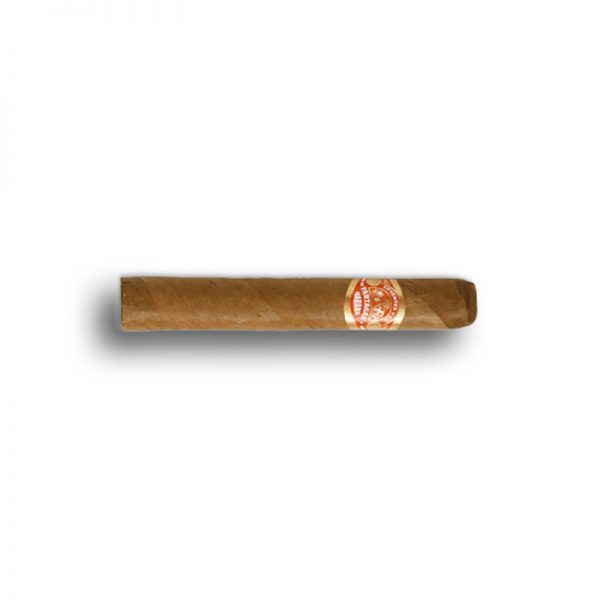 Partagas Shorts (25) - Cigar Shop World
