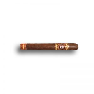 Perdomo Nicaragua (Bourbon-Barrel Aged) Churchill Sungrown (24) - Cigar Shop World