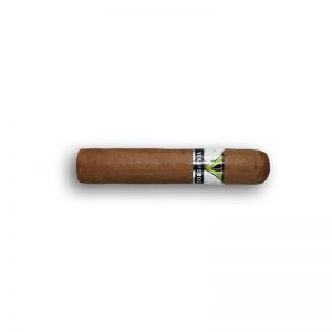 Vegueros Entretiempos (4x4) - Cigar Shop World