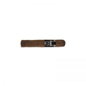 Asylum 13 Short Corona 4x44 (20) - Cigar Shop World