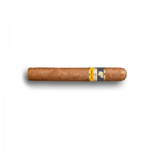 Cohiba Siglo VI (25) - Cigar Shop World