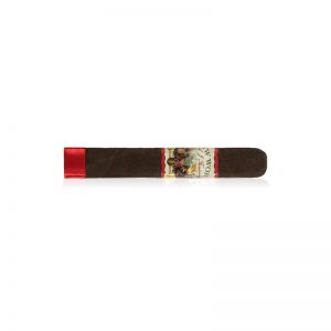 A.J.F. New World Puro Especial Oscuro Robusto 5.5x52 (20) - Cigar Shop World