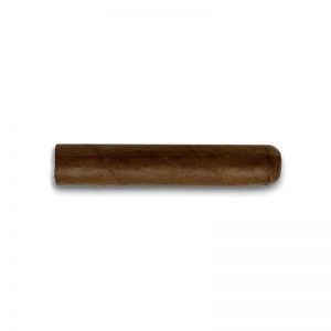 Farm Rolled Robusto Gordo (20) - Cigar Shop World