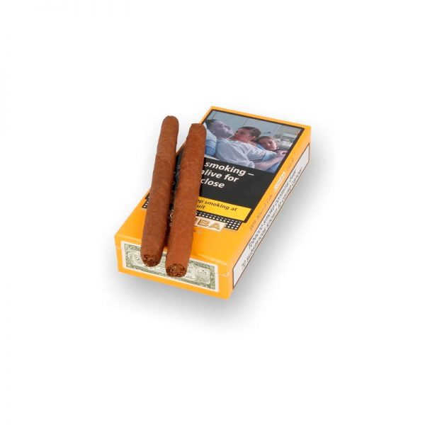 Cohiba Club 10 (10x10) - Cigar Shop World