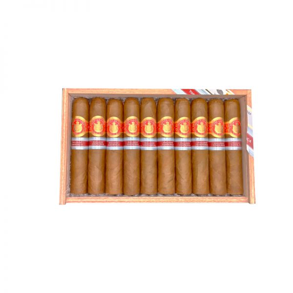 Saint Luis Rey Pura Vida (10) - Cigar Shop World