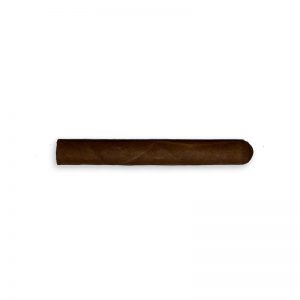 Farm Rolled Exquisitos Anejados (20) - Cigar Shop World
