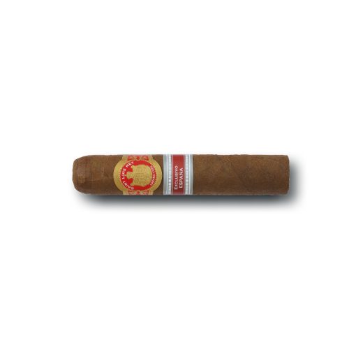 Saint Luis Rey Tesoros Spanish Regional Edition (10)