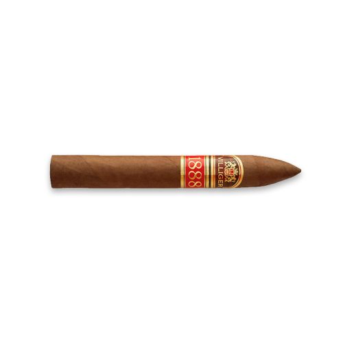 Villiger 1888 Torpedo (20)