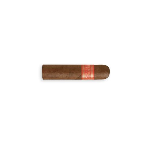 Partagas Serie D No. 6 (20)