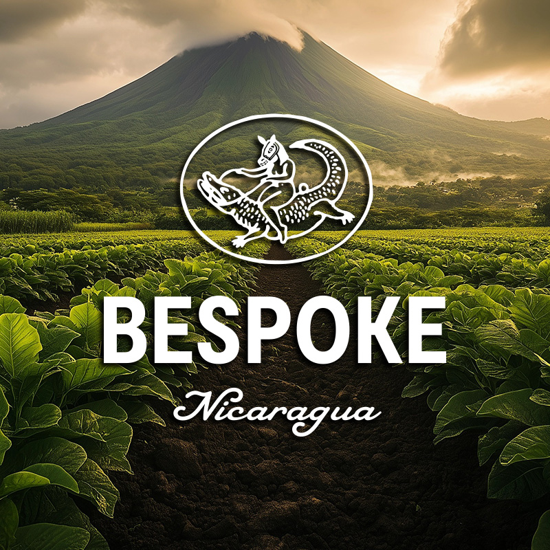 Bespoke Nicaragua Blend Cigars
