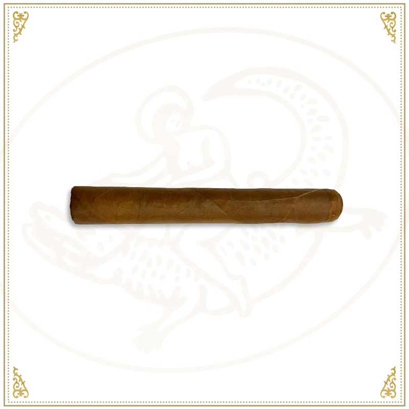 PuroexpressBEE2 - Cigar Shop World